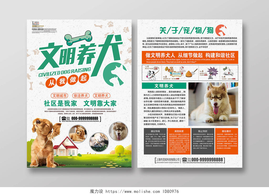 清新大气宠物店宣传单文明养犬动物单页